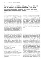 Báo cáo Y học: Structural basis for the inhibitory efﬁcacy of efavirenz (DMP-266), MSC194 and PNU142721 towards the HIV-1 RT K103N mutant doc