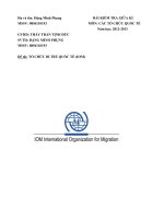 Đề tài: TỔ CHỨC DI TRÚ QUỐC TẾ (IOM) potx