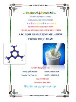TIỂU LUẬN: XÁC ĐỊNH HÀM LƯỢNG MALAMINE TRONG THỰC PHẨM docx