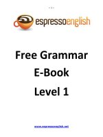 Free Grammar E-Book Level 1 ppt