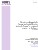 Culturally and Linguistically Appropriate Health Education Materials: Access, Networks, and Initiatives for the Future pdf