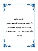 TIỂU LUẬN: Nâng cao chất lượng tín dụng đối với doanh nghiệp nhà nước tại NHNo&PTNTVN Chi Nhánh Bắc Hà Nội pot