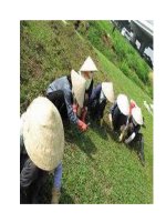 Đông y đơn giản chữa say nắng, say nóng potx