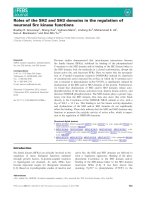 Báo cáo khoa học: Roles of the SH2 and SH3 domains in the regulation of neuronal Src kinase functions pptx