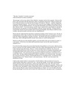 commentary of the play amadeus