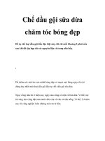 Chế dầu gội sữa dừa chăm tóc bóng đẹp ppt