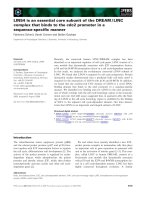 Báo cáo khoa học: LIN54 is an essential core subunit of the DREAM / LINC complex that binds to the cdc2 promoter in a sequence-speciﬁc manner ppt