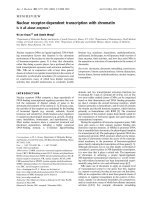 Báo cáo Y học: Nuclear receptor-dependent transcription with chromatin Is it all about enzymes? pot