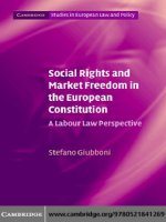 SOCIAL RIGHTS AND MARKET FREEDOM IN THE EUROPEAN CONSTITUTION docx