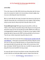 101 Thủ Thuật SEO Cho Những Người Mới Bắt Đầu pptx