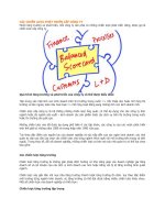 CÁC CHIẾN lược PHÁT TRIỂN cấp CÔNG TY