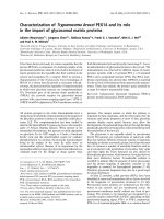 Báo cáo khoa học: Characterization of Trypanosoma brucei PEX14 and its role in the import of glycosomal matrix proteins pptx