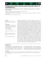 Báo cáo khoa học: Voltage-gated sodium channel isoform-speciﬁc effects of pompilidotoxins doc