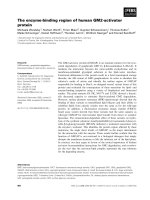 Báo cáo khoa học: The enzyme-binding region of human GM2-activator protein pdf