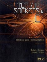TCP/ IP sockets in c