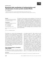 Báo cáo khoa học: Branched chain mechanism of polymerization and ultrastructure of prion protein amyloid ﬁbrils ppt