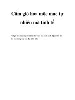 Cắm giỏ hoa mộc mạc tự nhiên mà tinh tế docx