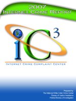 2007 INTERNET CRIME REPORT: IC3 INTERNET CRIME COMPLAINT CENTER pptx