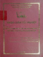 Chiến lược kinh doanh ''hiệu ứng mạng'' và bài học kinh nghiệm cho các doanh nghiệp Việt Nam