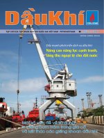 Tạp chí của tập đoàn dầu khí quốc gia Việt Nam - Petrovietnam - Số 04 - 2011 pot