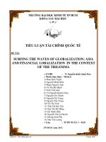 Surfing the waves of globalization - Asia and financial lobalization in the context of the trilemma