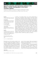 Báo cáo khoa học: Genomic structure and expression analysis of the RNase j family ortholog gene in the insect Ceratitis capitata pptx