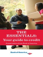 THE ESSENTIALS: Your guide to credit Sound Advice from Bank of America doc