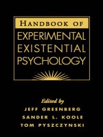 HANDBOOK OF EXPERIMENTAL EXISTENTIAL PSYCHOLOGY pot