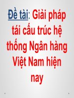 Giải pháp tái cấu trúc hệ thống Ngân hàng Việt Nam hiện nay
