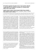 Báo cáo khoa học: N-Terminal segment of potato virus X coat protein subunits is glycosylated and mediates formation of a bound water shell on the virion surface docx