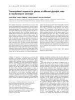 Báo cáo khoa học: Transcriptional responses to glucose at different glycolytic rates in Saccharomyces cerevisiae ppt