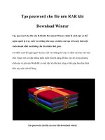 Tạo password cho file nén RAR khi Download Winrar pdf