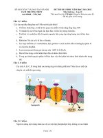 Đề thi Olympic Tây Hồ năm 2012 môn Sinh lớp 10 ppt