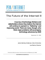 A survey of technology thinkers and stakeholders shows they believe the internet will continue to spread in a “flattening” and improving world. There are many, though, who think major problems will accompany technology advances by 2020 doc