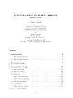 Intro to string theory   g  terhooft