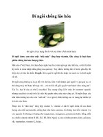 Bí ngồi chống lão hóa doc