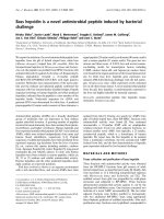 Báo cáo Y học: Bass hepcidin is a novel antimicrobial peptide induced by bacterial challenge pptx