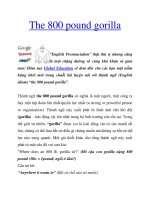 The 800 pound gorilla doc