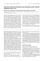 Báo cáo khoa học: Chaperone activity of recombinant maize chloroplast protein synthesis elongation factor, EF-Tu docx