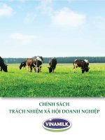 CHÍNH SÁCH TRÁCH NHIỆM XÃ HỘI DOANH NGHIỆP docx