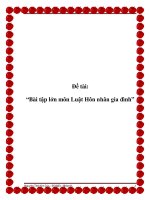 Đề tài: “Bài tập lớn môn Luật Hôn nhân gia đình” pptx