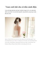 Voan cưới dài cho cô dâu sành điệu pot