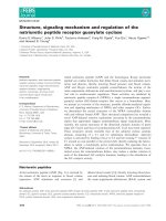 Báo cáo khoa học: Structure, signaling mechanism and regulation of the natriuretic peptide receptor guanylate cyclase pptx