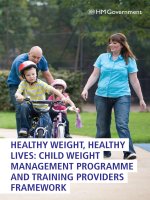 HEALTHY WEIGHT, HEALTHY LIVES: CHILD WEIGHT MANAGEMENT PROGRAMME AND TRAINING PROVIDERS FRAMEWORK pdf