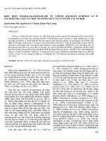 Biểu hiện endo – bêta – 1,4 – mannanase từ chủng Bacillus subtilis G1 ở Escherichia coli và một số tính chất của enzyme tái tổ hợp doc