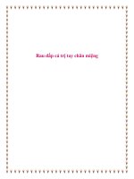 Rau dấp cá trị tay chân miệng. pdf