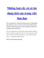 Những loại cây cỏ có tác dụng tích cực trong việc làm đẹp ppt