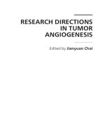 Research Directions in Tumor Angiogenesis Edited by Jianyuan Chai pptx