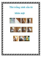 Thỏ trắng xinh xắn từ khăn mặt doc