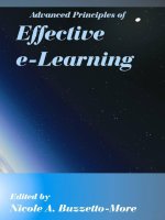 advanced principles of effective e learning doc